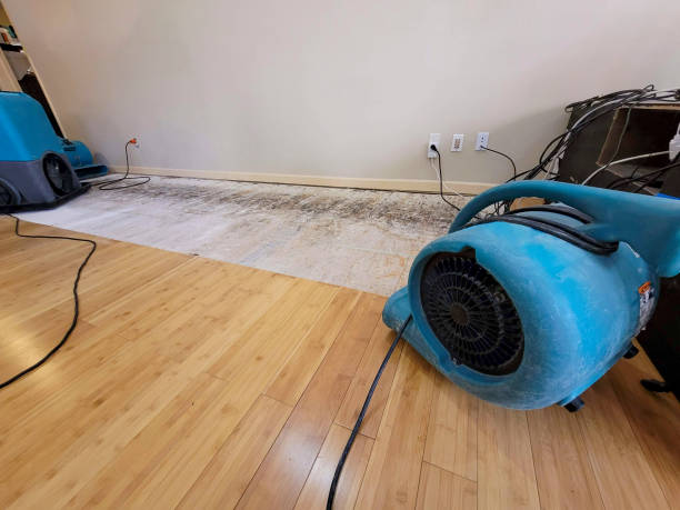 Professional Water Damage Repair technician working in New London, MN